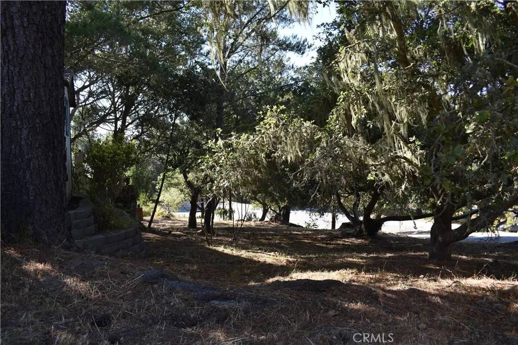 Cambria, CA 93428,2755 Taft Place