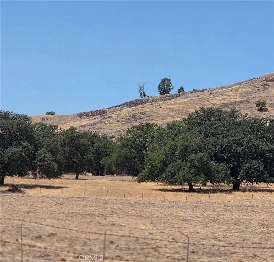 Parkfield, CA 93451,87577 Oak