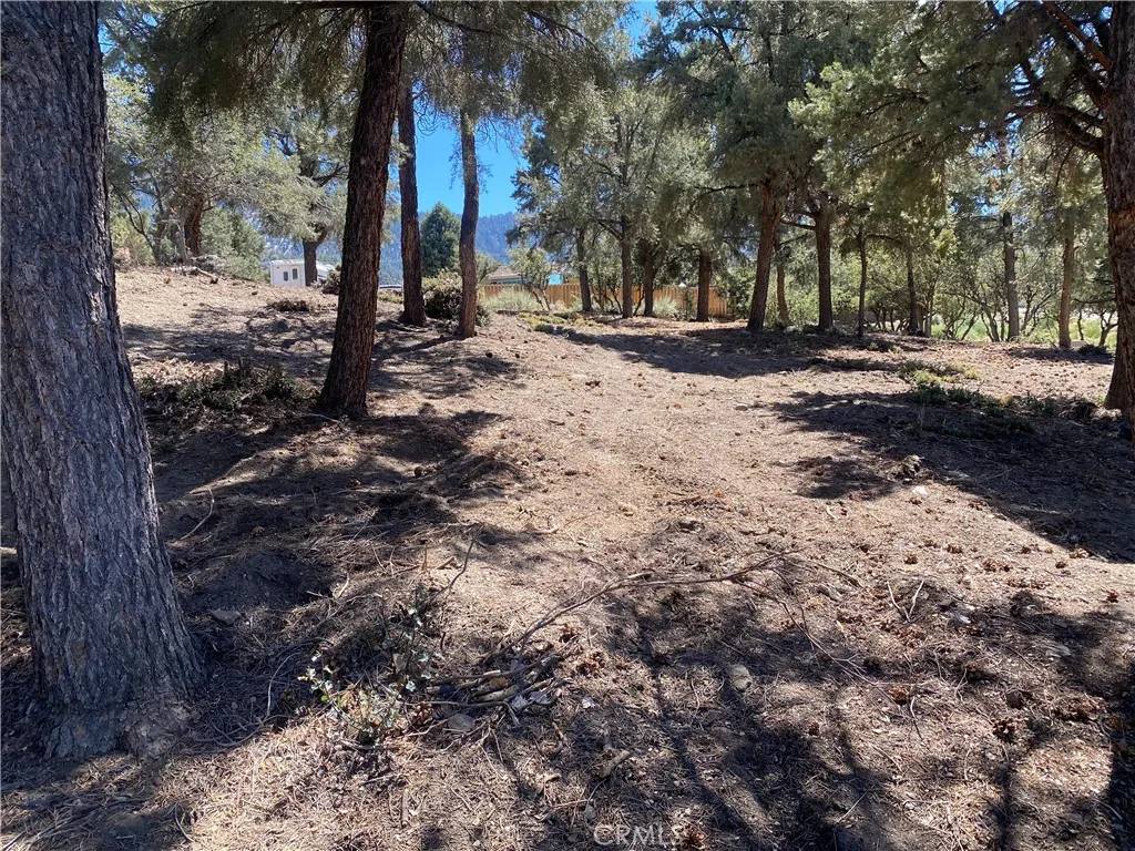 Pine Mountain Club, CA 93225,2217 St Bernard