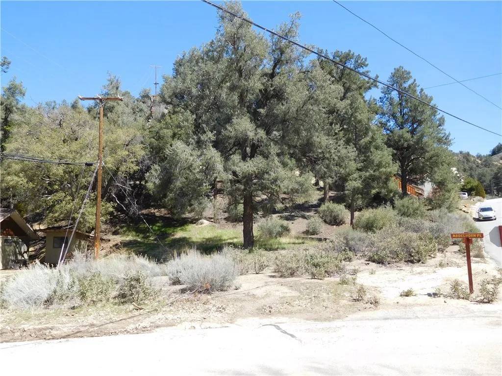 Pine Mountain Club, CA 93222,15009 Geneva