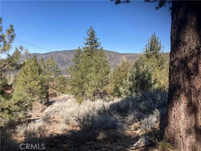 Pine Mountain Club, CA 93222,15125 Chestnut