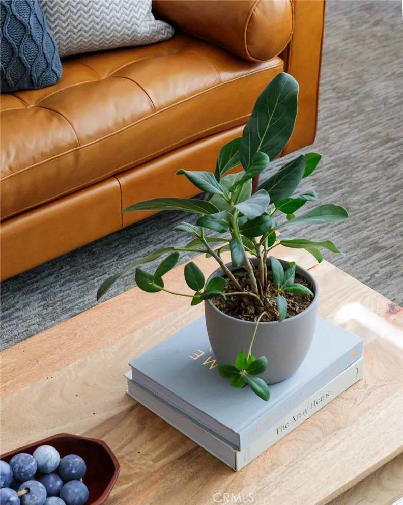 San Clemente, CA 92672,702 Loma Adria