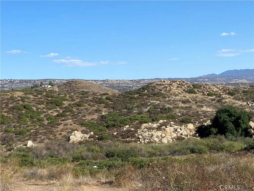 Hemet, CA 92544,10 Gray Squirrel Lot 10
