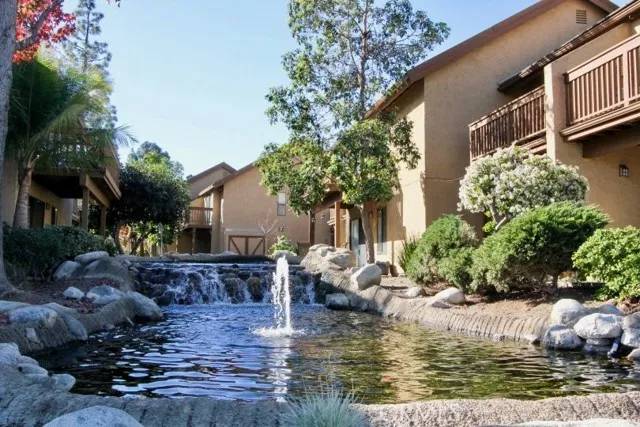 Irvine, CA 92618,25 Orange Blossom #61