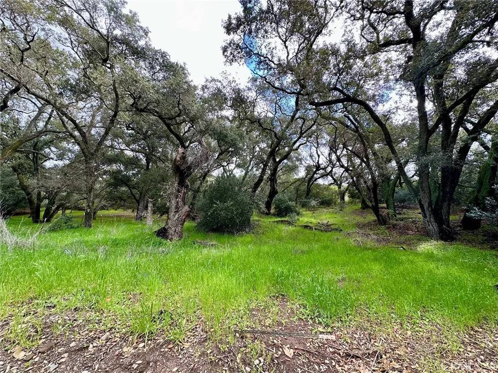 Trabuco Canyon, CA 92679,19334 Live Oak Canyon