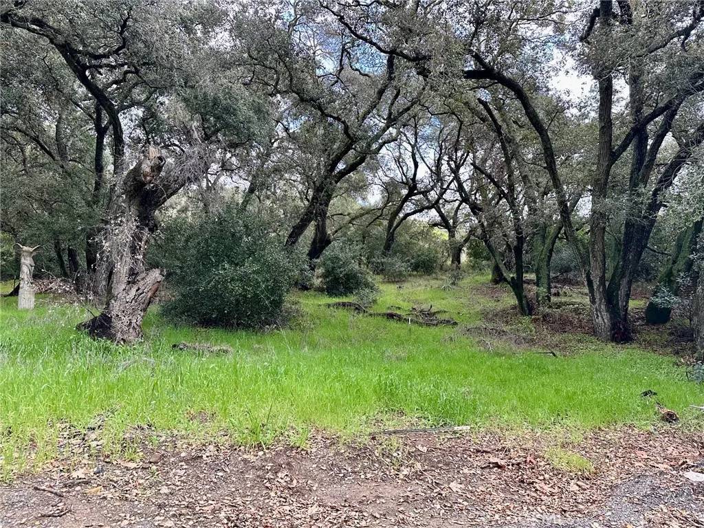 Trabuco Canyon, CA 92679,19334 Live Oak Canyon