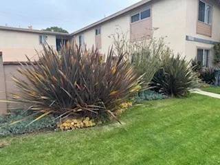Costa Mesa, CA 92626,988 Valencia Street #4