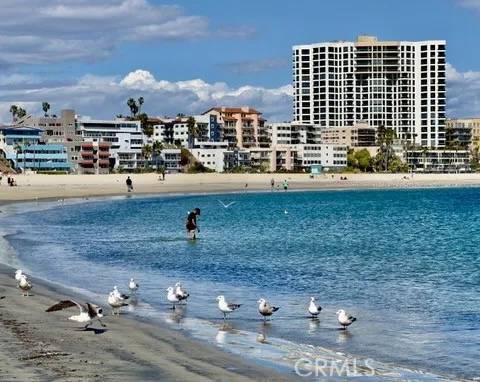 Long Beach, CA 90802,1310 E Ocean Boulevard East #1001