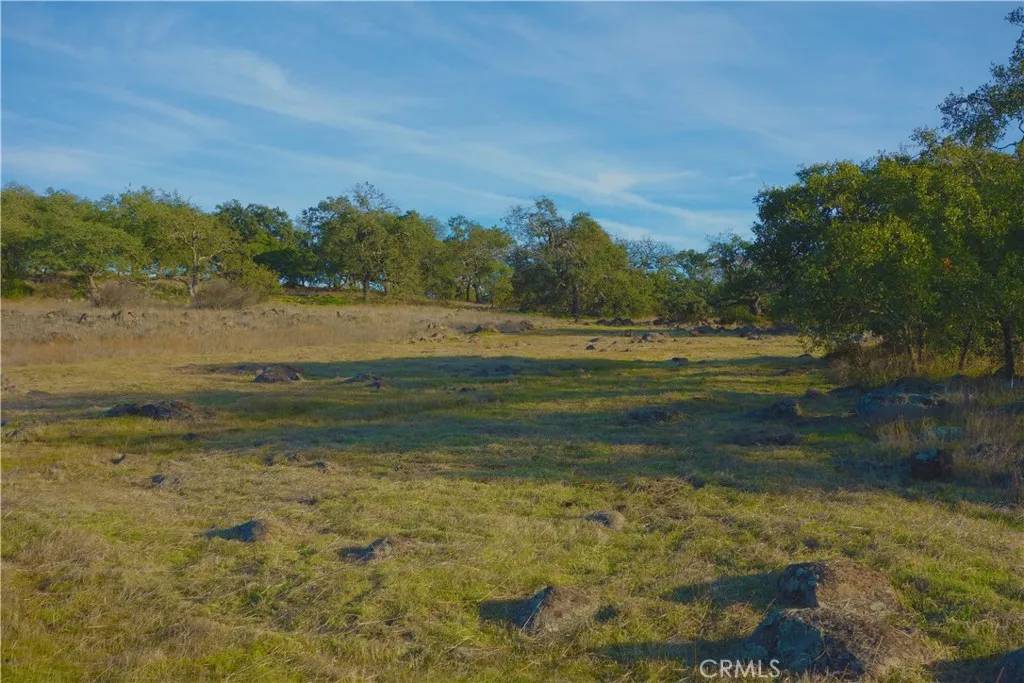 Murrieta, CA 92562,20 Avocado Mesa