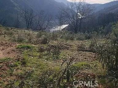 Berry Creek, CA 95991,23 Eckards