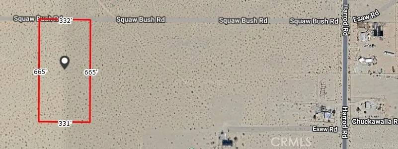 Lucerne Valley, CA 92356,0 Squaw Bush