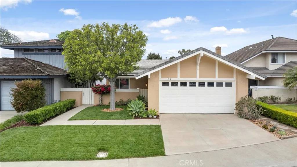 Irvine, CA 92604,29 Blackswan
