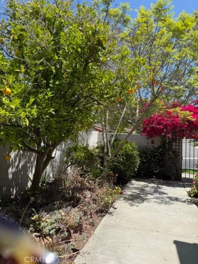 Laguna Woods, CA 92637,5105 Despacio