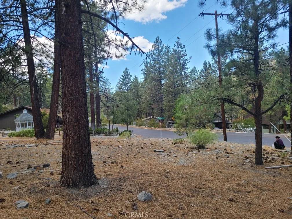Wrightwood, CA 92397,0 Lodgepole