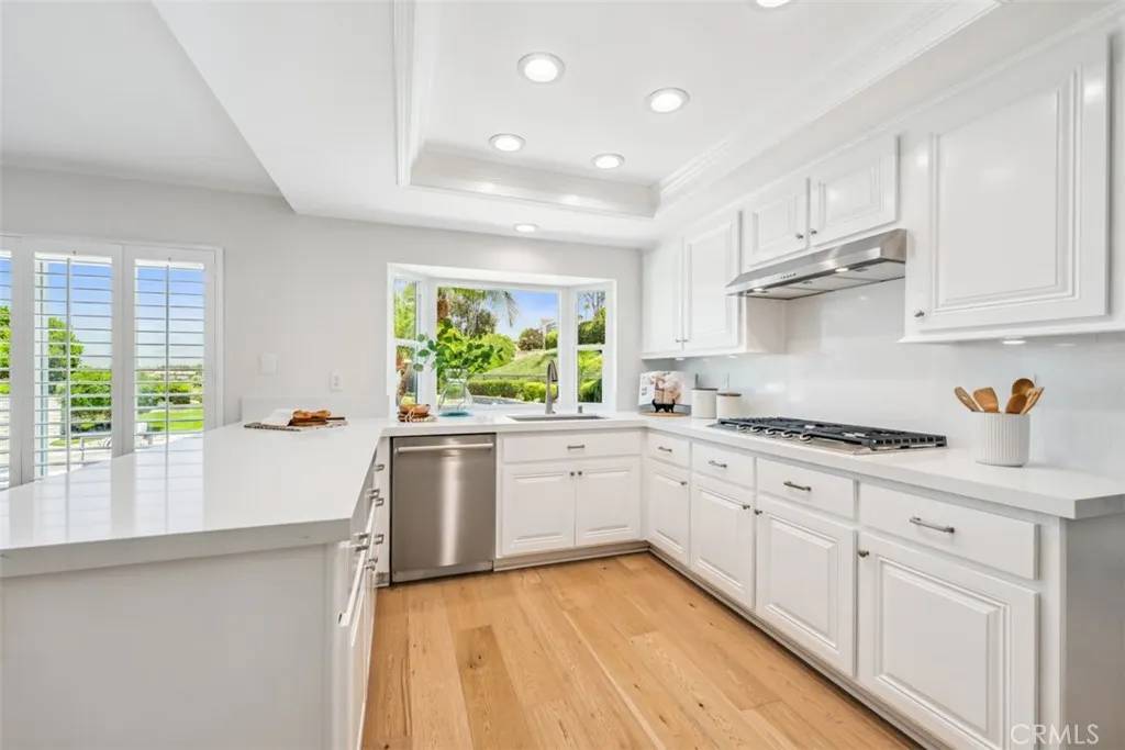 Laguna Niguel, CA 92677,9 Phillips Circle