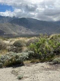 Whitewater, CA 92282,55825 Oleander