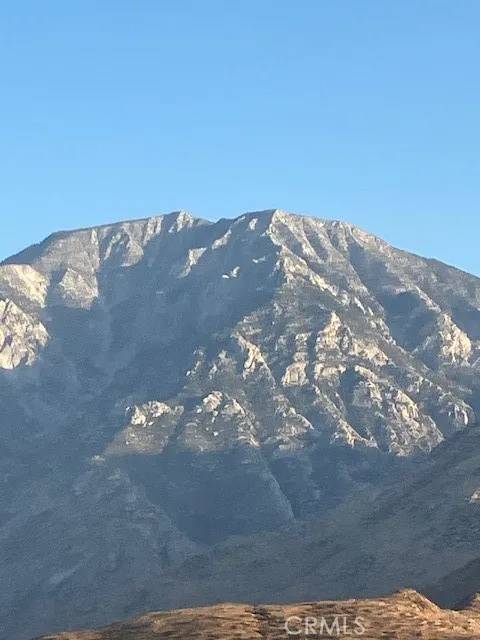 Whitewater, CA 92282,13388 Fremontia