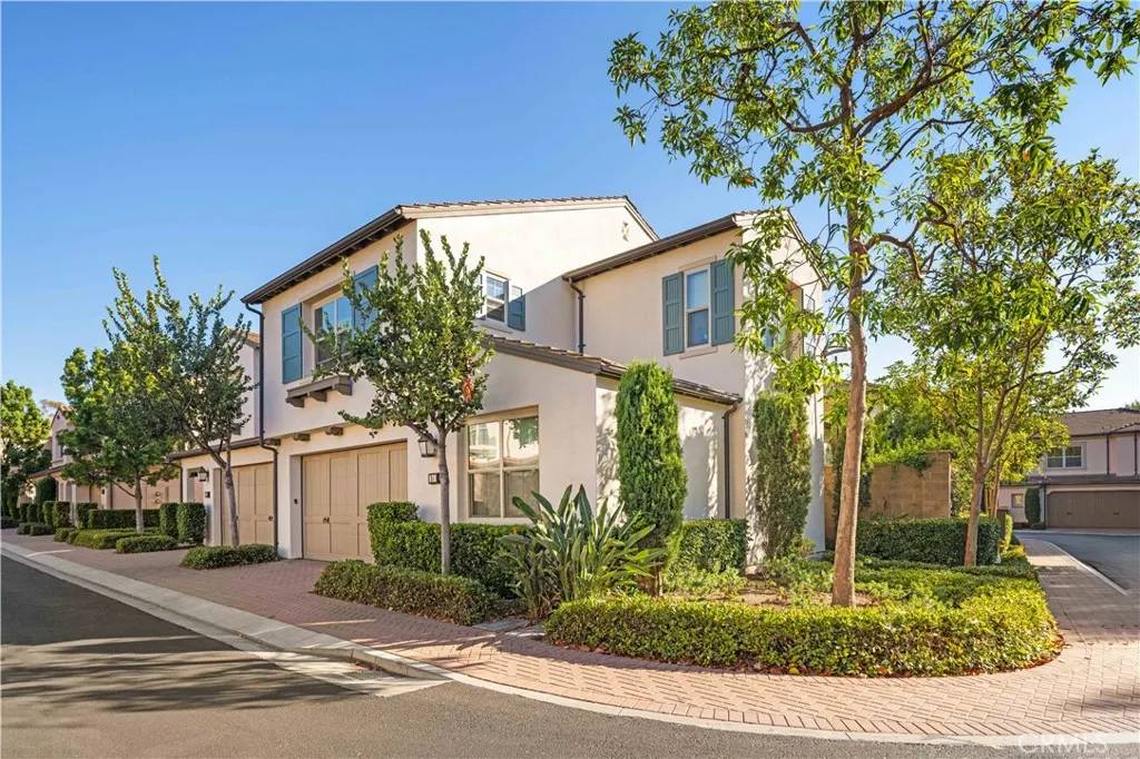 Irvine, CA 92618,24 Lacebark #48