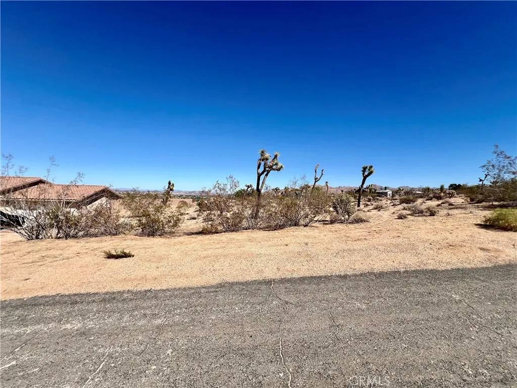 Joshua Tree, CA 92252,0 Torres