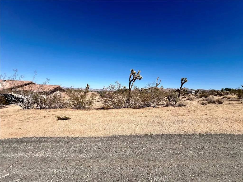 Joshua Tree, CA 92252,0 Torres