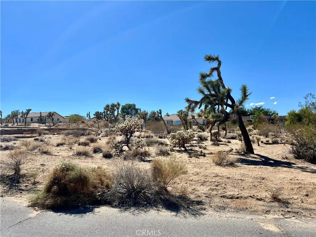 Joshua Tree, CA 92252,0 Sunny Vista