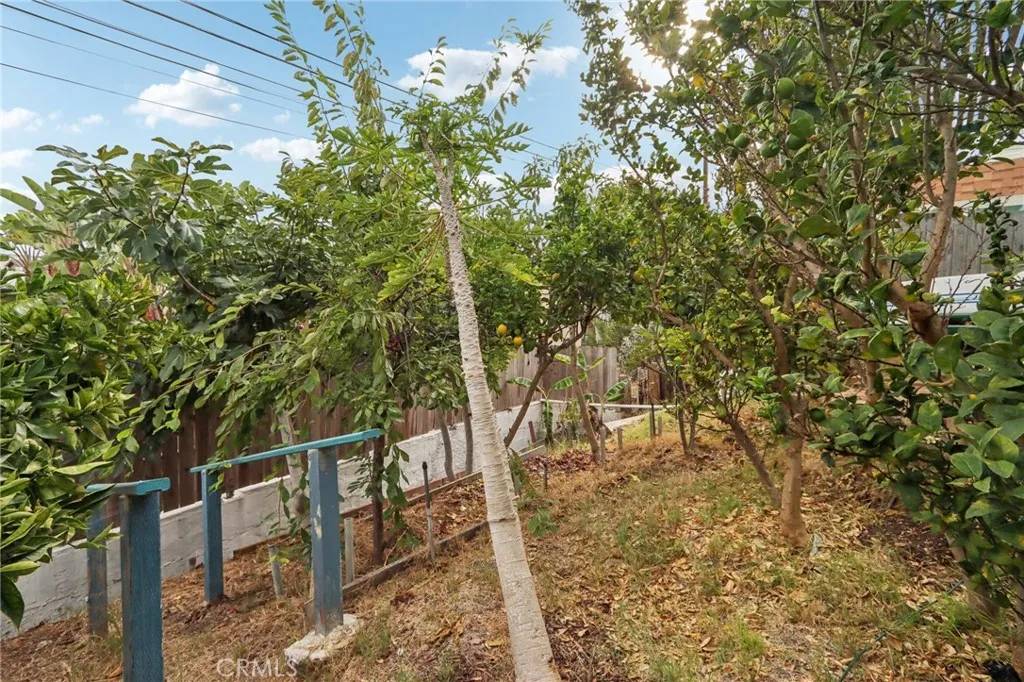San Clemente, CA 92672,229 W Canada