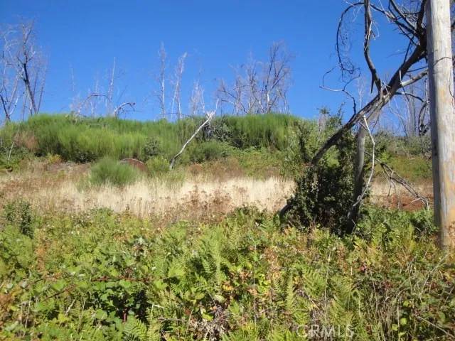 Berry Creek, CA 95916,0 Meadow
