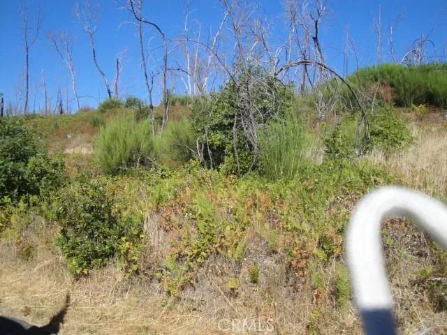 Berry Creek, CA 95916,0 Meadow