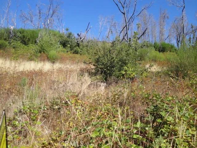 Berry Creek, CA 95916,0 Meadow