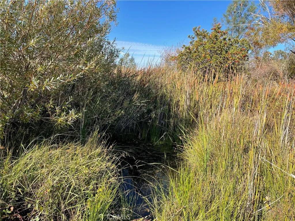 Oroville, CA 95966,0 Fletcher