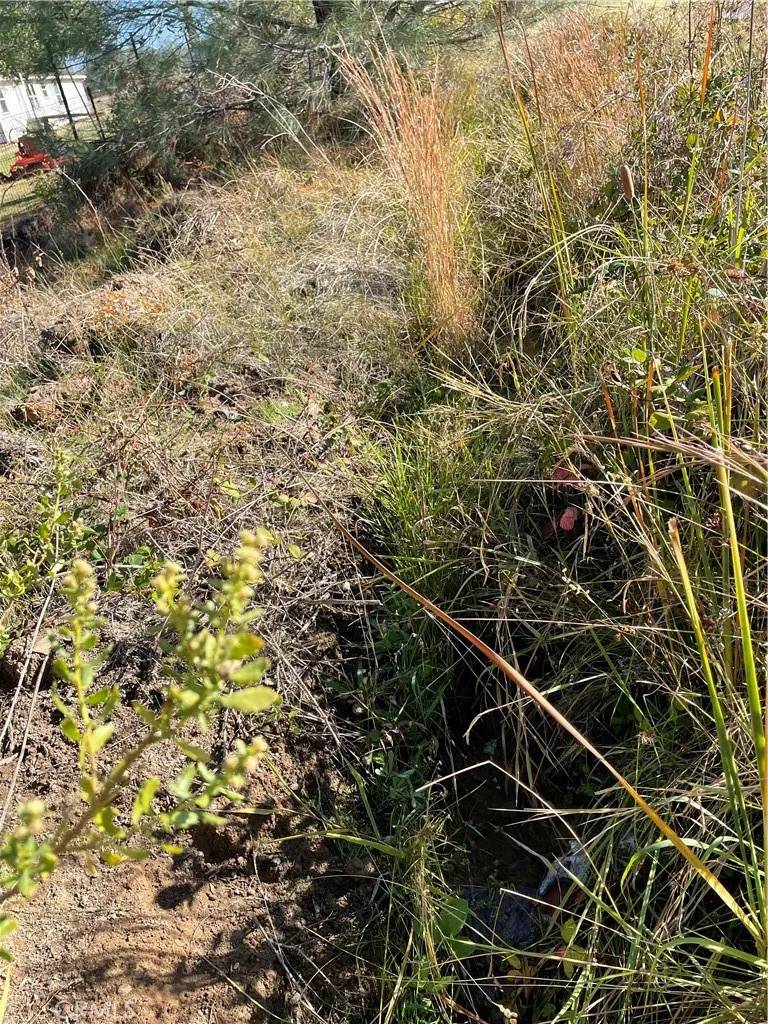 Oroville, CA 95966,0 Fletcher