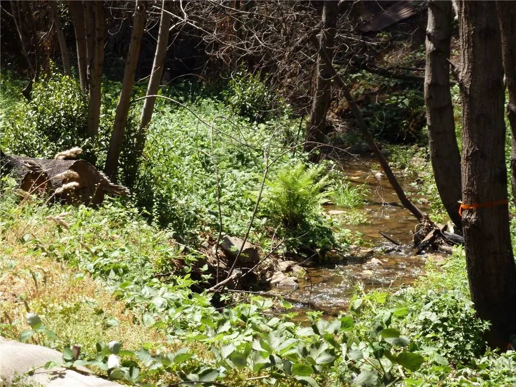 Berry Creek, CA 95916,9741 Oroville Quincy