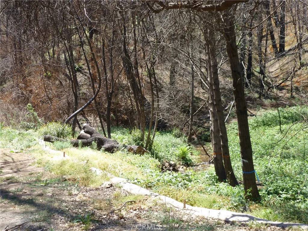 Berry Creek, CA 95916,9741 Oroville Quincy