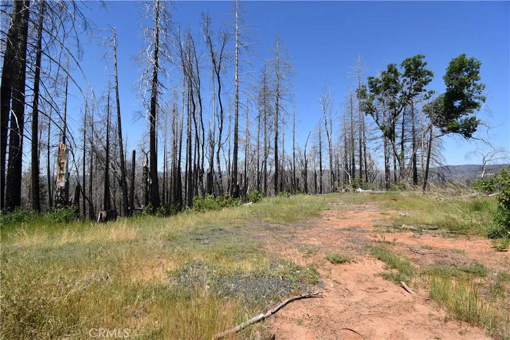Berry Creek, CA 95916,0 Quartz Hill