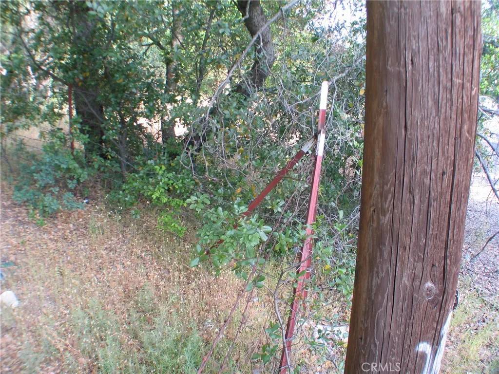 Oroville, CA 95966,0 Ophir