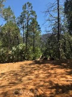 Oroville, CA 95966,507 Broken Springs