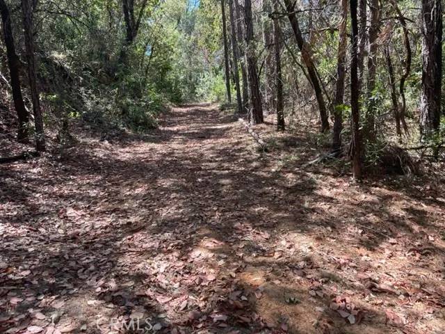 Oroville, CA 95966,12 Broken Springs