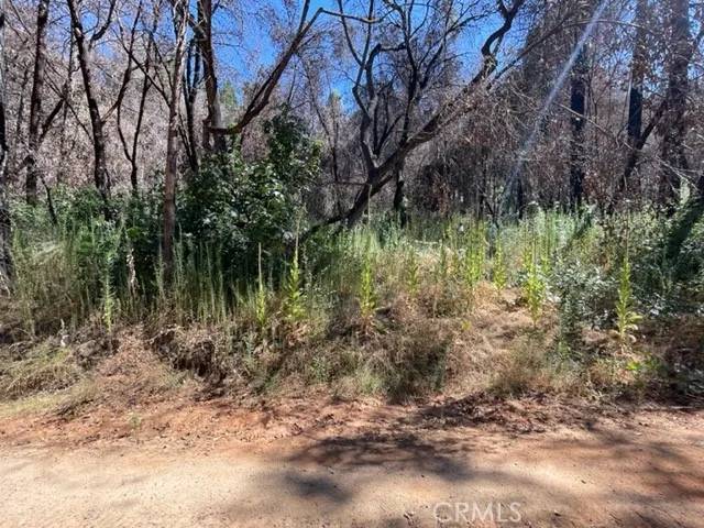 Oroville, CA 95966,27 Broken Springs