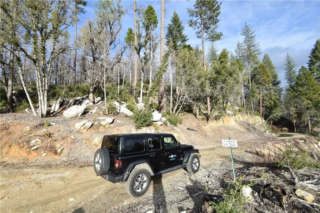 Berry Creek, CA 95916,0 Lake Madrone
