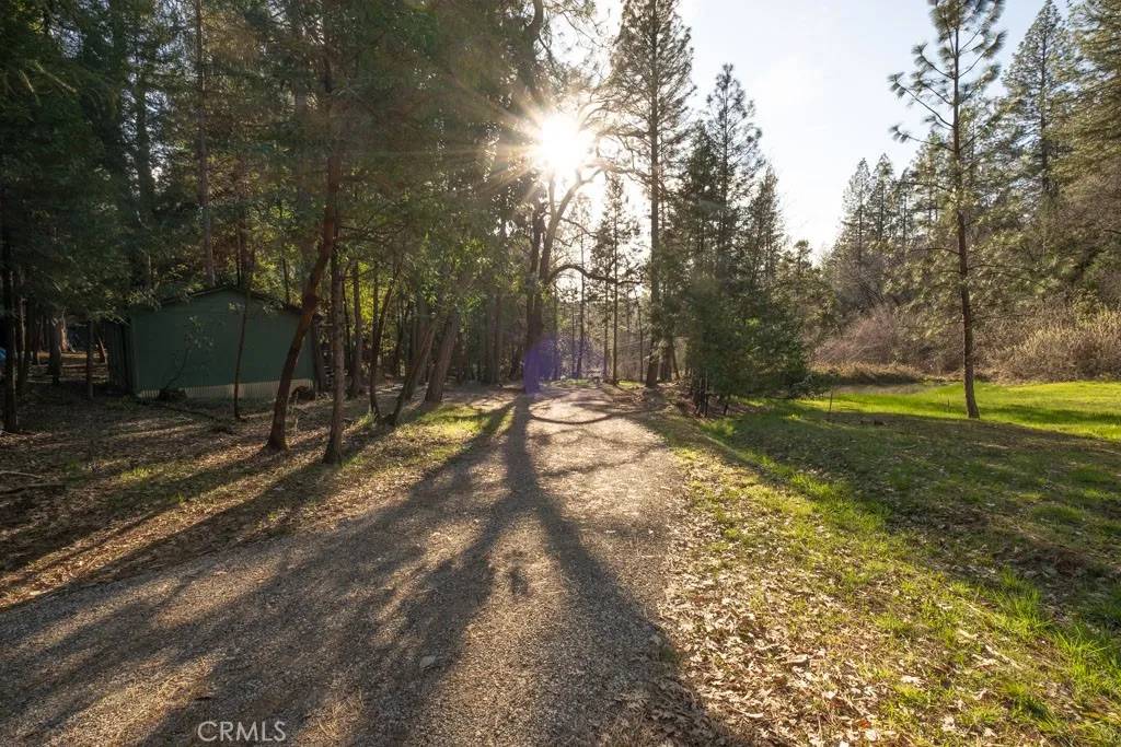 Brownsville, CA 95919,16648 New York House Road