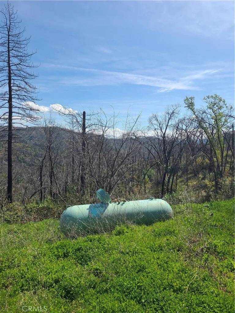 Berry Creek, CA 95916,519 Little Ridge Road