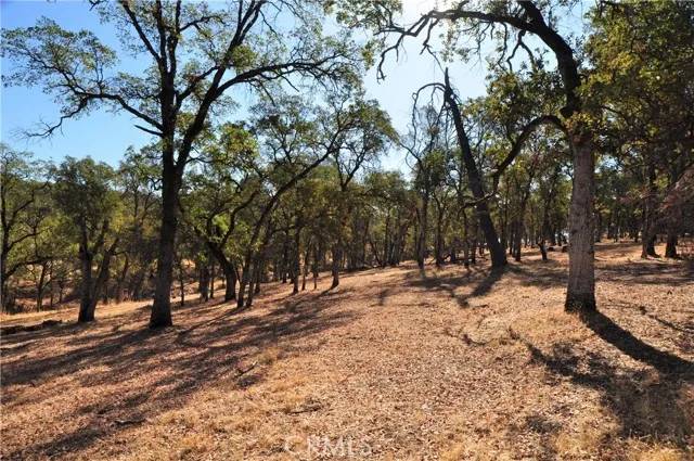 Bangor, CA 95966,0 Orange Ave