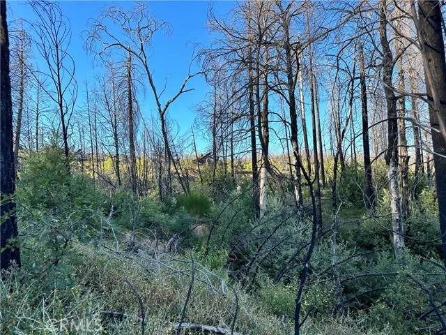 Berry Creek, CA 95916,0 Seminole