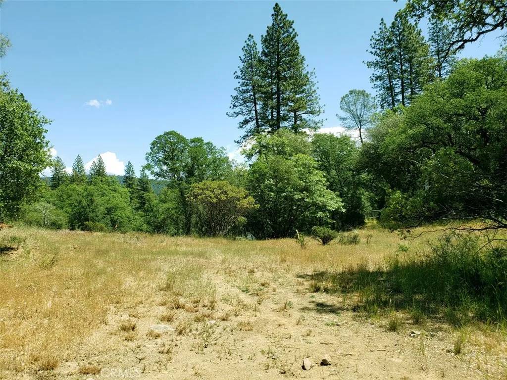 Dobbins, CA 95935,13903 Ingersoll