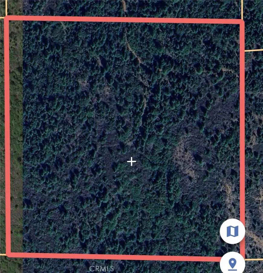 Brownsville, CA 95919,0 Lantana