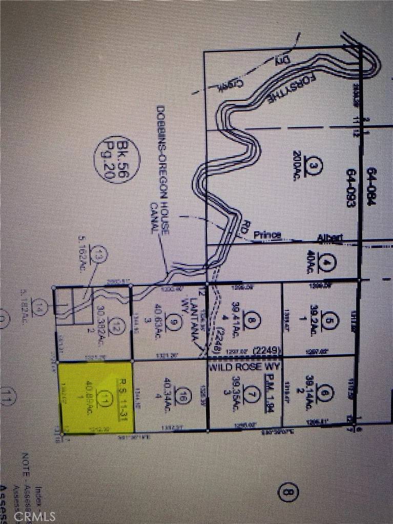 Brownsville, CA 95919,0 Lantana