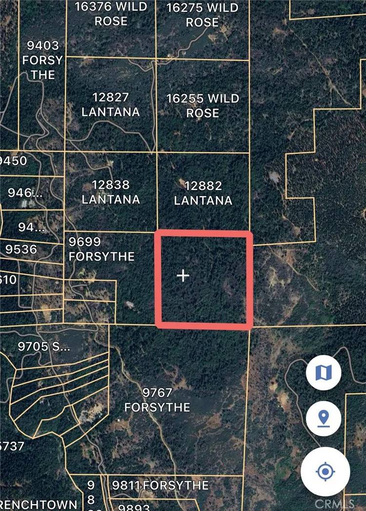 Brownsville, CA 95919,0 Lantana
