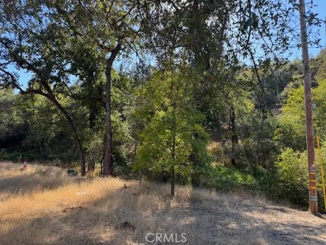 Browns Valley, CA 95918,11214 Peoria Road