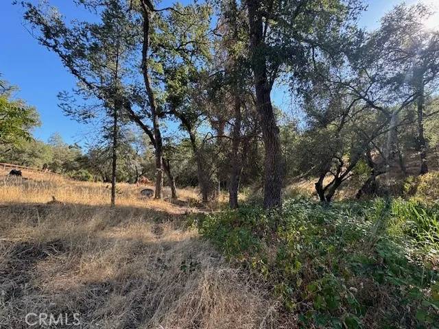 Browns Valley, CA 95918,11214 Peoria Road