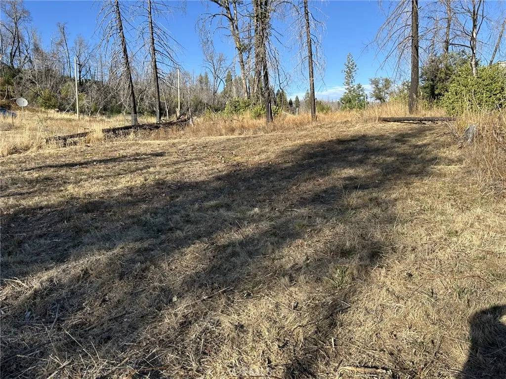 Berry Creek, CA 95916,80 Meadow